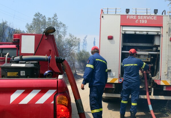 Φωτιά σε δασική έκταση στην Αγιά Λάρισας