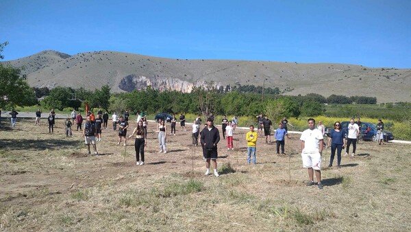 Τέμπη: Μαθητές του Τυρνάβου φύτεψαν 57 δέντρα ένα για κάθε θύμα του δυστυχήματος