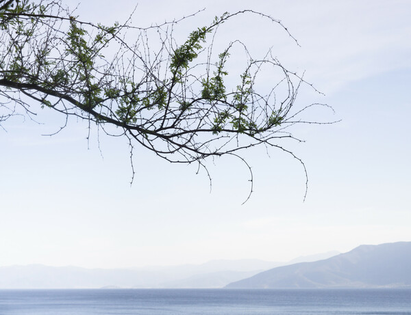 Οι 21 γαζίες της Αρβανιτιάς