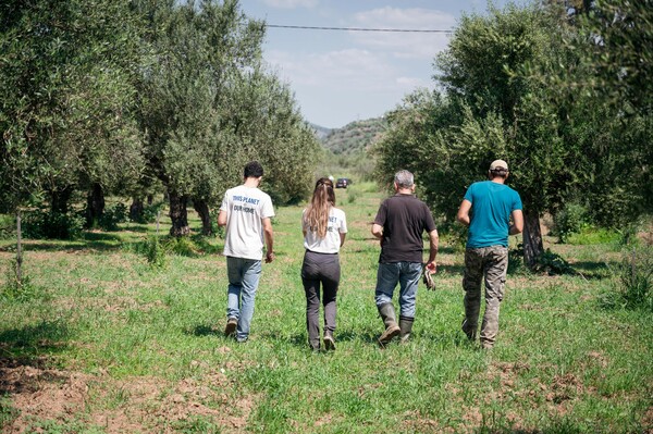 Το φυσικό μεταλλικό νερό Βίκος γιορτάζει την Ημέρα της Γης φυτεύοντας 2.000 δέντρα σε βόρεια Εύβοια και Μάνη