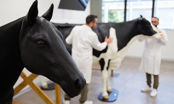 Ευρωπαϊκό Πανεπιστήμιο: Εκδήλωση ενημέρωσης για σπουδές Ιατρικής, Οδοντιατρικής, Κτηνιατρικής και Επιστημών Υγείας