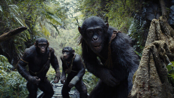Πίθηκοι, υγιεινή διατροφή και πτεροδάκτυλοι στους κινηματογράφους από αύριο