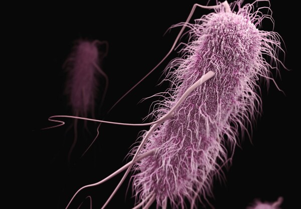 Η μικροβιακή αντοχή μπορεί να κάνει την επιδημία του κορωνοϊού να «μοιάζει με παιχνίδι»