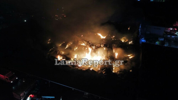 Παρέμβαση Αρείου Πάγου για τη φωτιά σε εργοστάσιο της Λαμίας - Ζητά έρευνα από την εισαγγελία