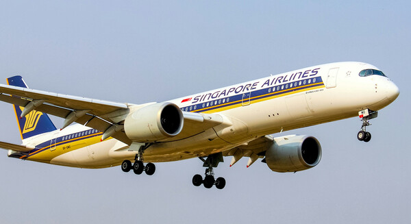 Singapore Airlines: Η ταξιδιωτική ασφάλεια ίσως καλύψει το κόστος περίθαλψης των τραυματιών