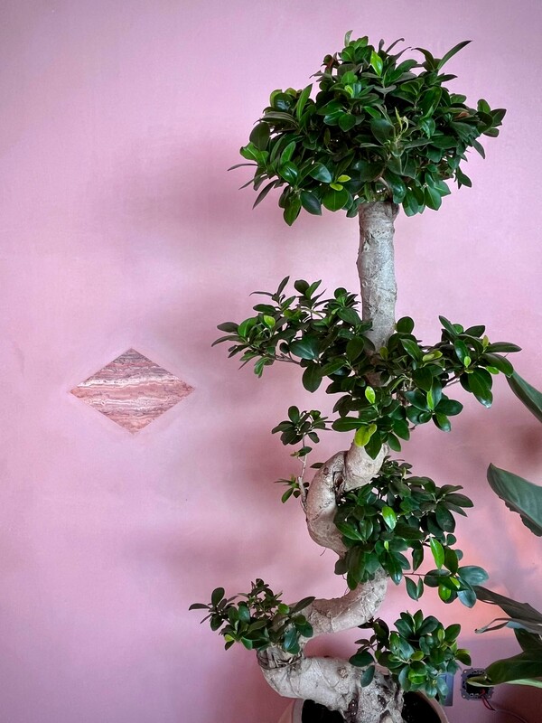 Το Semiramis καλωσορίζει το καλοκαίρι 2024 με το opening της ανανεωμένης πισίνας του