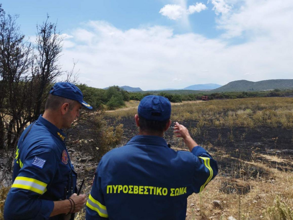 Ορθοθετήθηκε η φωτιά στη Βοιωτία- Το μήνυμα Κικίλια 