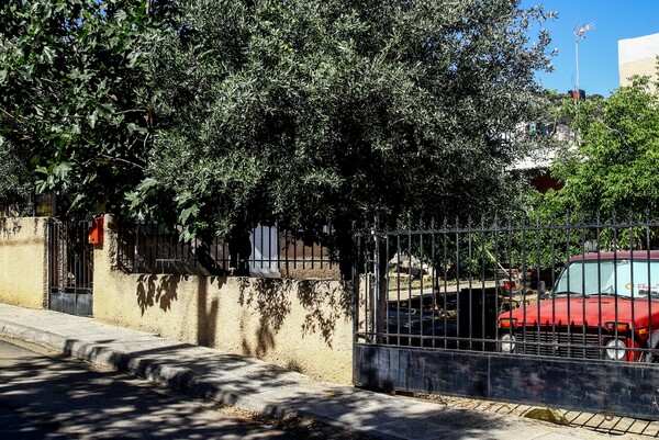 Λιόσια: Στο Αυτόφωρο αύριο ο 59χρονος - Δεν χρήζει ψυχιατρικής νοσηλείας