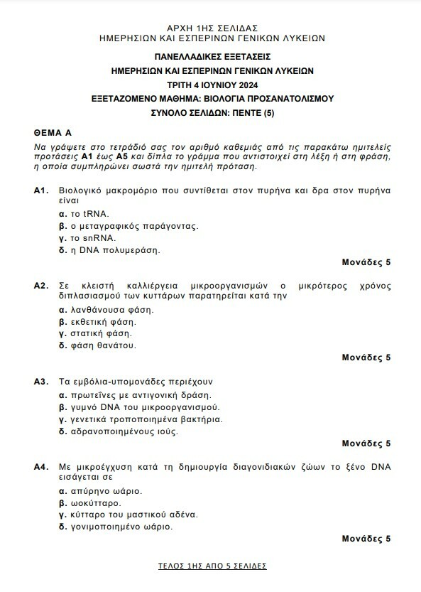 Πανελλήνιες 2024: Πώς ήταν τα θέματα στα Αρχαία, τα Μαθηματικά και τη Βιολογία