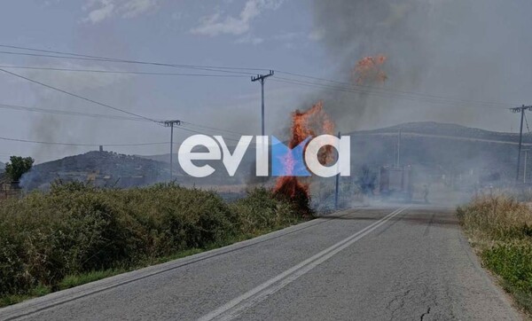 Πυρκαγιά στα Λέπουρα Εύβοιας