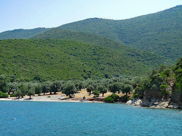 «Thessaly Evros Pass»: Ανοίγει την Τρίτη η πλατφόρμα