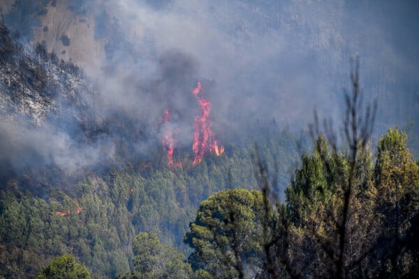Φωτιά τώρα στην Πέλλα: Επιχειρούν 45 πυροσβέστες και τρία αεροσκάφη