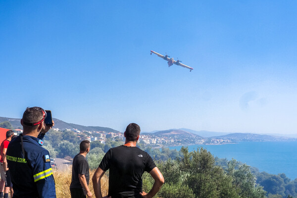 Υπό μερικό έλεγχο η φωτιά στα Ψαχνά Εύβοιας