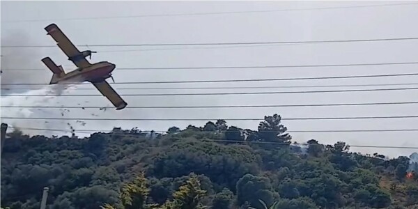 Φωτιά στη Ναυπακτία: Canadair χτύπησε σε πεύκα κατά τη διάρκεια ρίψης