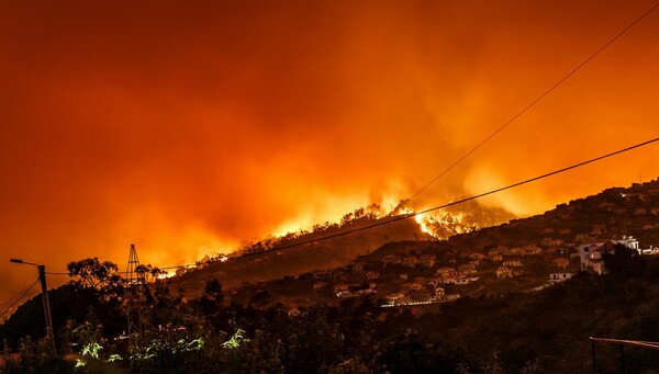 Υπερδιπλασιάστηκαν παγκοσμίως οι δασικές πυρκαγιές την τελευταία 20ετία