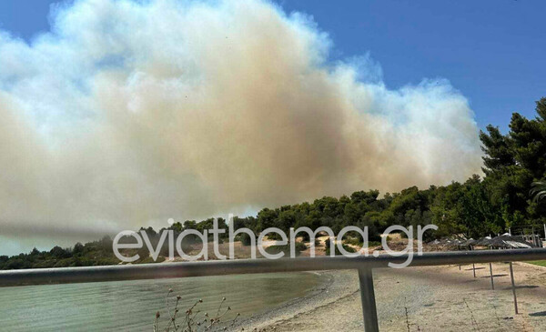 Φωτιά τώρα στα Ψαχνά Εύβοιας: Απειλούνται σπίτια και ο υγροβιότοπος Κολοβρέχτης