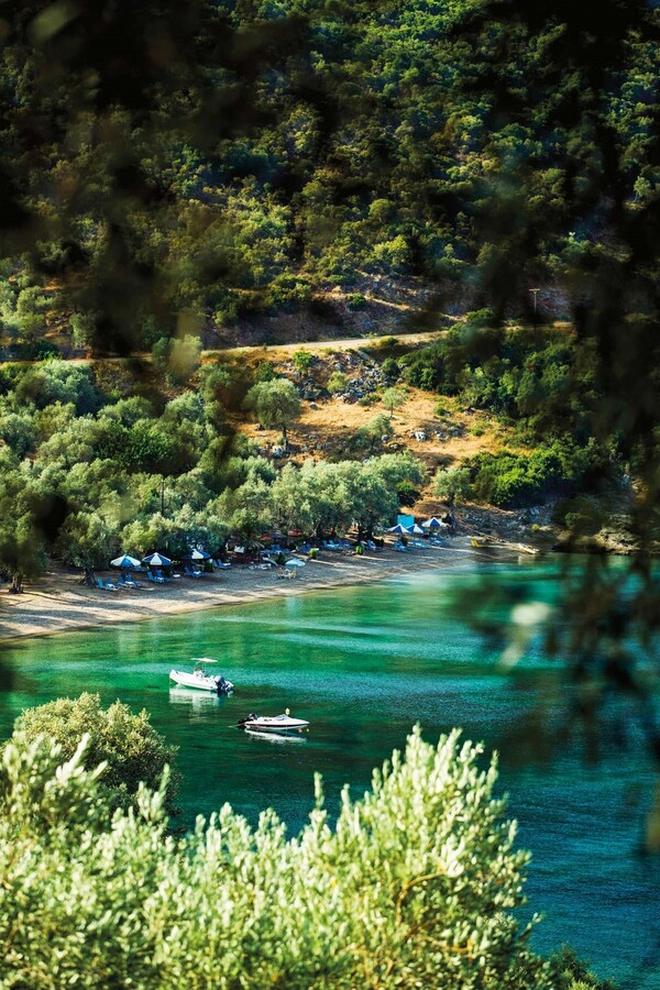 «Thessaly Evros Pass»: Ανοίγει σήμερα η πλατφόρμα για τις αιτήσεις