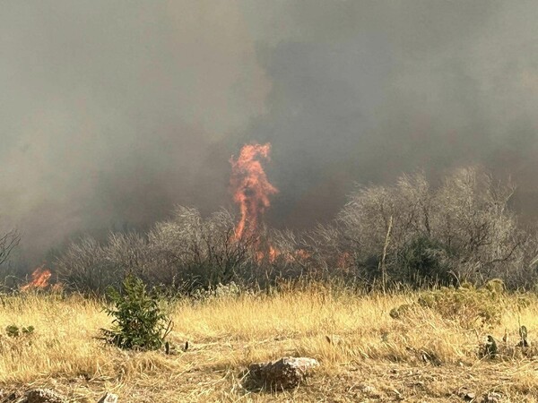 Oριοθετήθηκε η φωτιά στη Φέριζα
