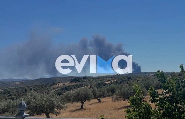 Φωτιά τώρα στη Ριτσώνα - Καίγεται εργοστάσιο στη βιομηχανική περιοχή