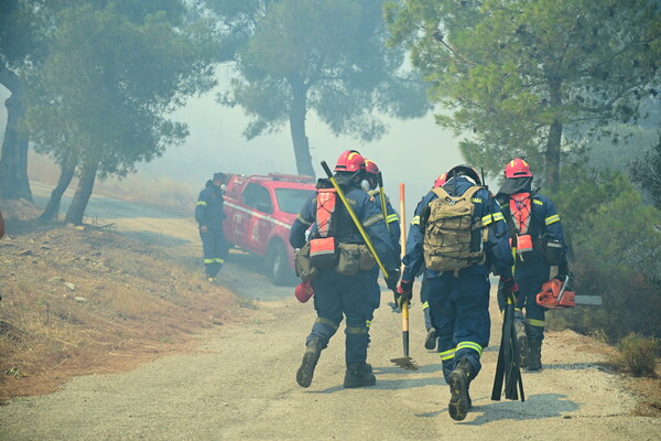 Φωτιά στην Κερατέα: Έξι οικισμοί κινδυνεύουν - 52 απεγκλωβισμοί πολιτών