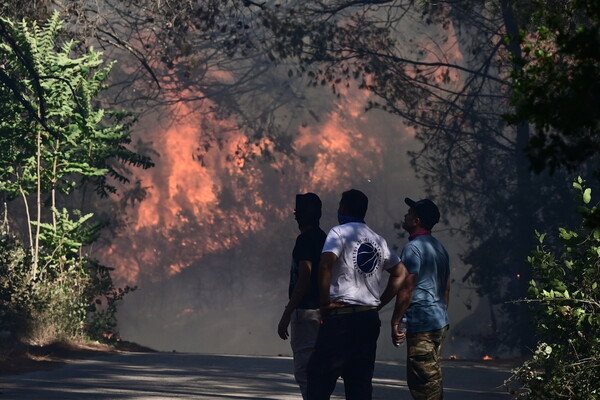 Φωτιά στη Σταμάτα: 20 εναέρια μέσα στη μάχη με τις φλόγες 