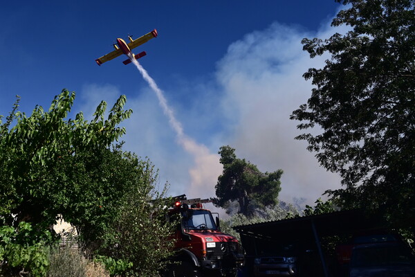 Φωτιά στον Άγιο Ελισαίο Μονεμβασίας