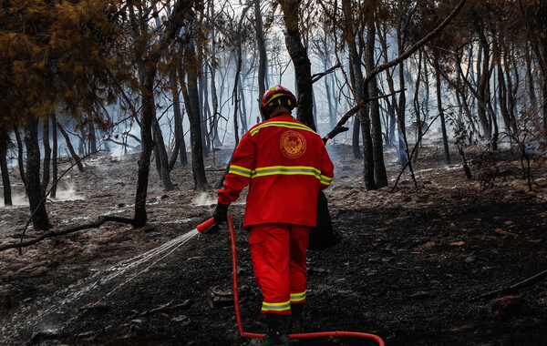 Συνελήφθη ένας 35χρονος για τη φωτιά στα Γλυκά Νερά