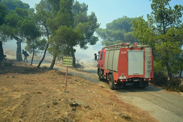 Πυροσβεστική: 27 αγροτοδασικές πυρκαγιές σε όλη την χώρα το τελευταίο εικοσιτετράωρο