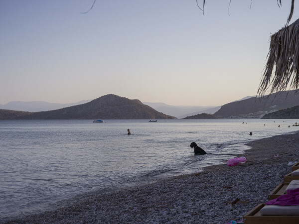 Ο μανάβης