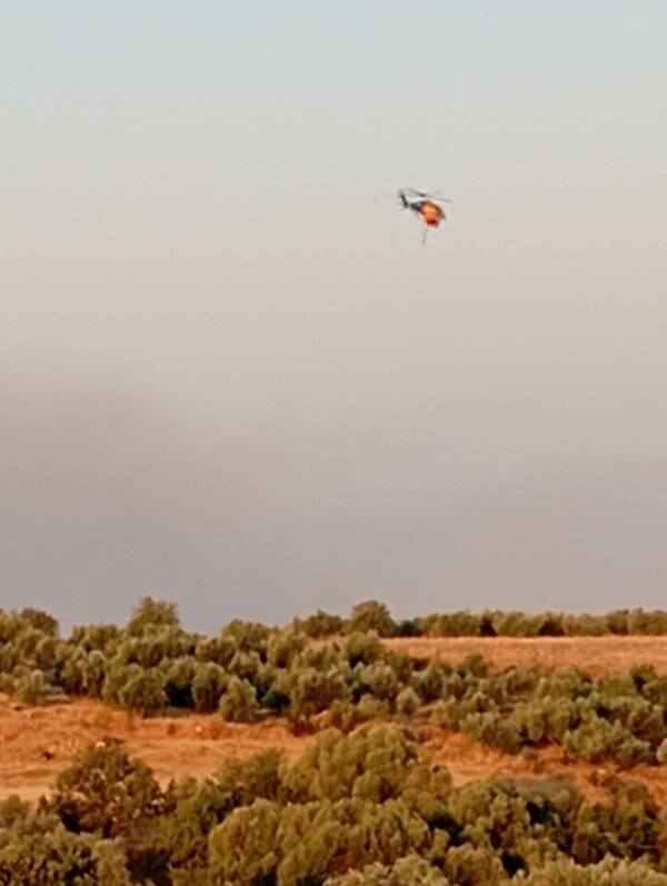 Φωτιά στη Μεταμόρφωση Μεσσηνίας