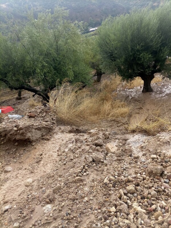 Κακοκαιρία: Ποτάμια οι δρόμοι στην Αλεξανδρούπολη - Κατολισθήσεις και πτώσεις δέντρων στην Αιγιάλεια