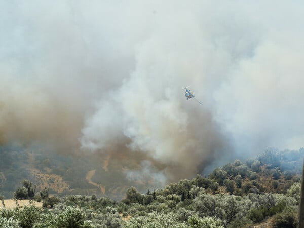 Φωτιά στο Ρέθυμνο: Ανυπολόγιστη καταστροφή - Δεν έχει ελεγχθεί το μέτωπο