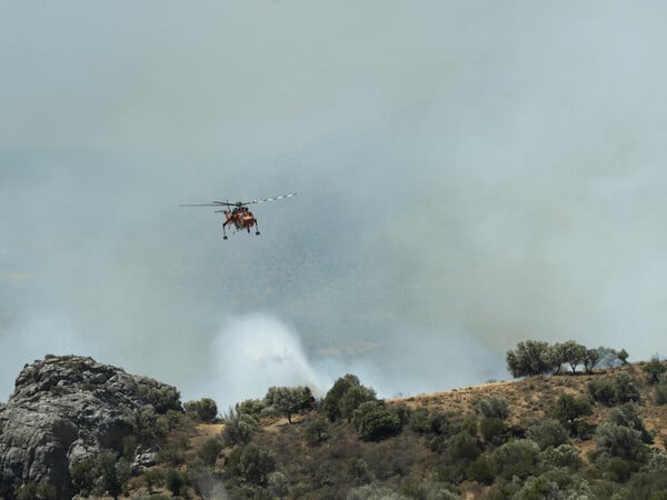 Φωτιά στο Ρέθυμνο: Ανυπολόγιστη καταστροφή - Δεν έχει ελεγχθεί το μέτωπο