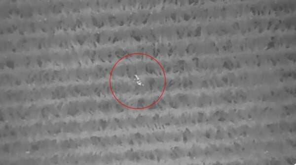 Με drone εντόπισαν τρίχρονο σε έκταση 1000 στρεμμάτων με καλαμπόκι στο Ουισκόνσιν
