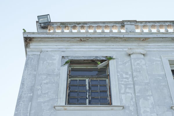 Το εμβληματικό Παλατάκι της Θεσσαλονίκης όπως είναι σήμερα