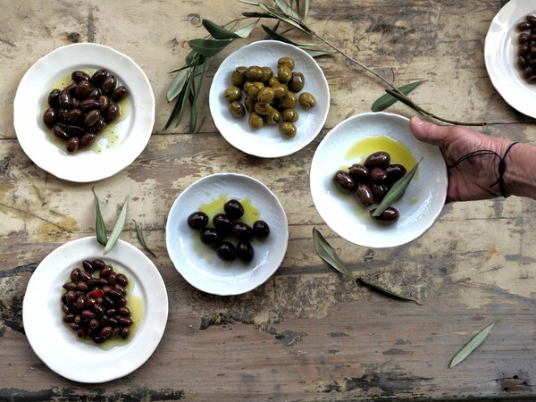 Μνήμες ελιάς από το παρελθόν και το μέλλον 