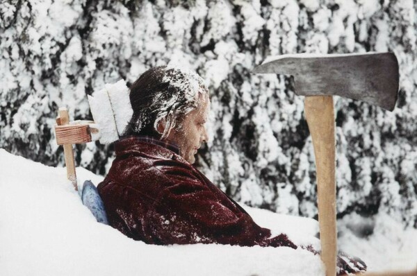 shining nicholson