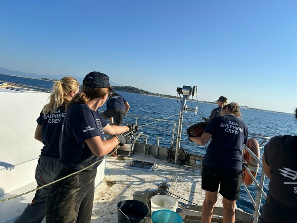 Πόρτο Λάγος: 6.500 παράνομες παγίδες χταποδιών ανασύρθηκαν - Απελευθέρωσαν 571 παγιδευμένα