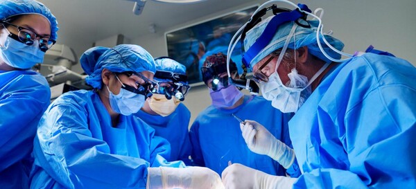 Η 53χρονη Τοάνα αναρρώνει μια χαρά μετά την πειραματική μεταμόσχευση νεφρού χοίρου