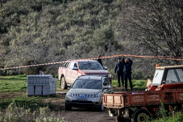 Βασίλης Καλογήρου: «Δεν προκύπτει αρπαγή» λέει η Δημογλίδου