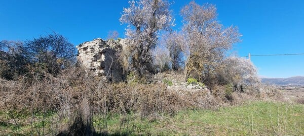 «Η ψυχική ισορροπία που κερδίζεις φεύγοντας από την Αθήνα σου ανοίγει ορίζοντες»