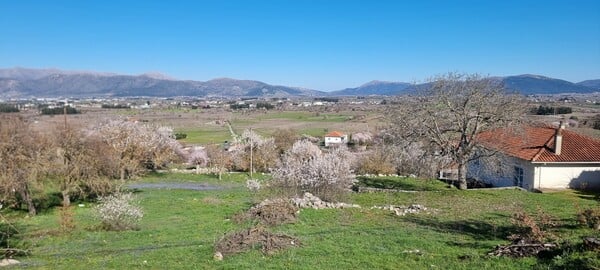 «Η ψυχική ισορροπία που κερδίζεις φεύγοντας από την Αθήνα σου ανοίγει ορίζοντες»