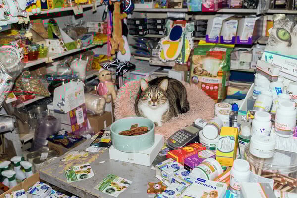 PETSHOP