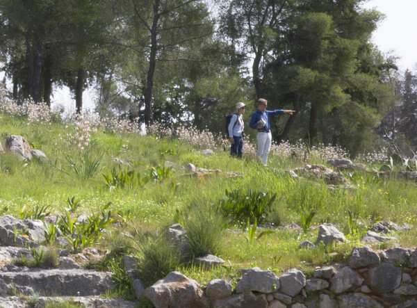 Ιερά Απόλλωνος Δειραδιώτη και Αθηνάς Οξυδερκούς