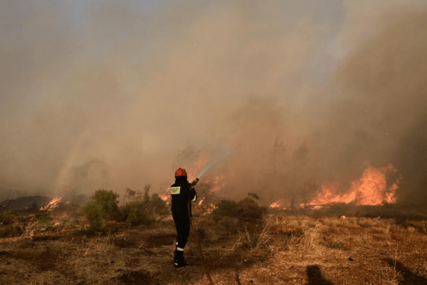 Φωτιά στην Κάρυστο: Ήχησε το 112 στους κατοίκους των Καλλιανών