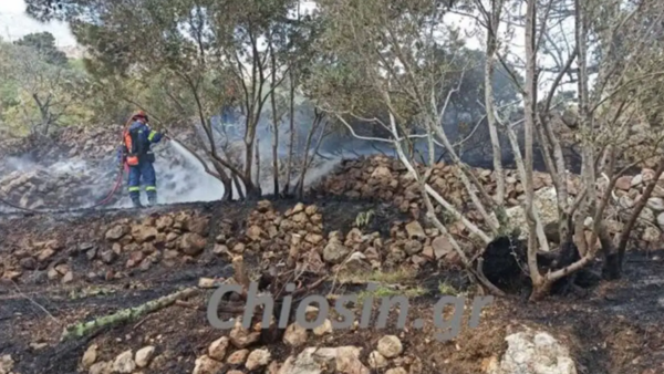 Χίος: Έβαλε φωτιά για να κάψει ξερόκλαδα και έκαψε τις ελιές του