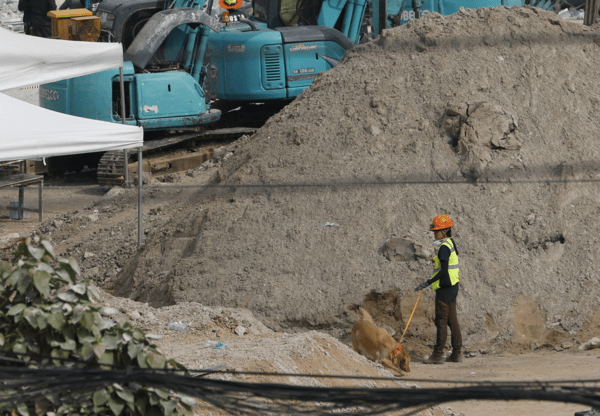 Λέκκας για σεισμό στη Μιανμάρ: Το σενάριο οι νεκροί να φτάσουν τις 50.000 έως και 100.000 είναι υπαρκτό