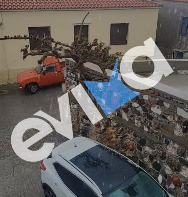 Κακοκαιρία: Ισχυρή χαλαζόπτωση το μεσημέρι στην Εύβοια