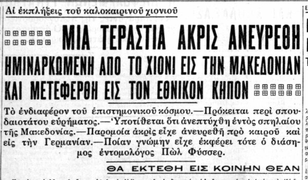 Ακρίδα μήκους ενάμισι μέτρου εκτέθηκε στον Εθνικό Κήπο τον Μάρτη του 1931