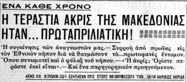 Ακρίδα μήκους ενάμισι μέτρου εκτέθηκε στον Εθνικό Κήπο τον Μάρτη του 1931